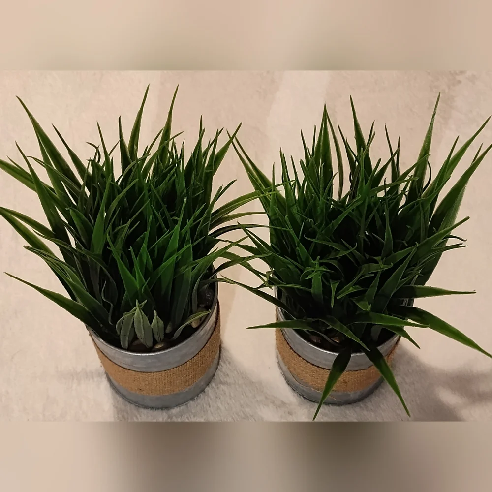 NEW! 2- Artificial Potted Grass Plants